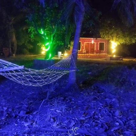 Pratik Mango Farm House Villa Revadanda Luaran gambar