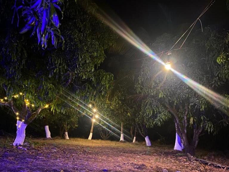 Pratik Mango Farm House Villa Revadanda Luaran gambar